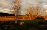 Evening sun