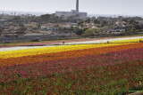 carlsbad, california