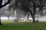 San Jacinto Cemetery in the Fog0431fixweb.jpg
