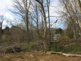 IMG_0464.jpg