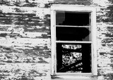 Window in High Contrast