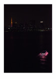 Tokyo Tower and pleasure boat