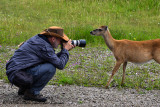 Close-up... clic !!!