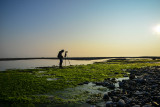 Ren sur la plage de lAnse aux fraises