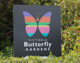 2014-05-18 Victoria Butterfly Gardens