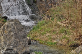 La cascata di Bolladore