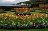 9th May