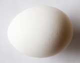 Egg 4383.jpg