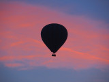 Sunrise Balloon 1767 copy.jpg