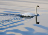 Swan 4200.jpg