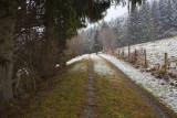 Forest Road 4637.jpg