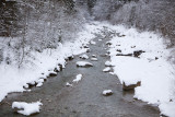 Winter Stream 5354.jpg