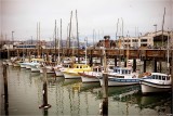 Fishing Fleet
