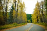 Fall Near Jackson Lake