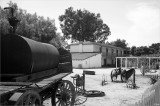 Olivas Adobe