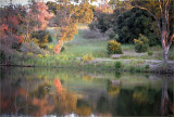 Ed Levin County Park