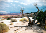 Canyonlands National Park