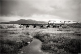 North Bound Coast Starlight