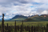 Along the Glenn Highway