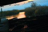 Encanyissada amb barques de perxar - Encarrizada - Reed bed Lagoon