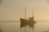 Anchored in mist