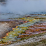 Hot Water and bacteria from Midway Geyser Basin