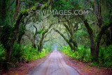 CUMBERLAND ISLAND GEORGIA