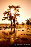 LAKE MARTIN LOUISIANA