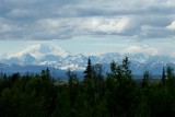 A view of Mt. Mckinley from Talkeetna