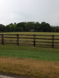2014-08-09 15:46