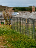 17 - Around the Corner - Westland Warehouses