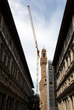 Florence</br>Grue