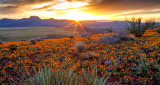 Sunrise atop Peridot Mesa, San Carlos Apache Reservation, AZ