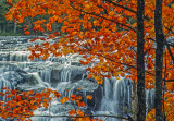 Red Maples, Bond Falls, Ottawa National Forest, MI