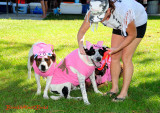 DSC_6322Daloween 2013_1.JPG