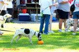 DSC_6413Daloween 2013_52.JPG