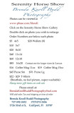 Serenity Order instructions Horse Show small.jpg