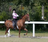 123 Isabella Stewart on Heir To Success, Avalon Riding Academy and Stables