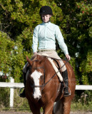 50. Sr. Walk/Trot English Pleasure