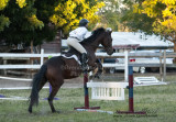62-65 Jumping 18” (2 fences)