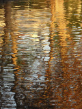 Reflections of Fall Colors