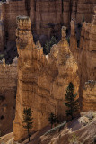 Bryce 20161021-_83A4555.jpg