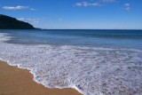 Avalon Beach