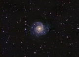 M74 Spiral Galaxy