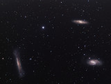 Leo Triplet - M65, M66 and NGC 3628
