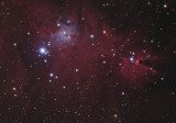 Christmas Tree Cluster - Cone Nebula Ha RGB 