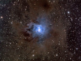 Iris Nebula - NGC 7023