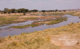 Ruaha River