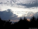 1) Light of Day Photography Dawn Saasen (125).jpg