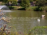 1) Light of Day Photography Dawn Saasen (302).jpg